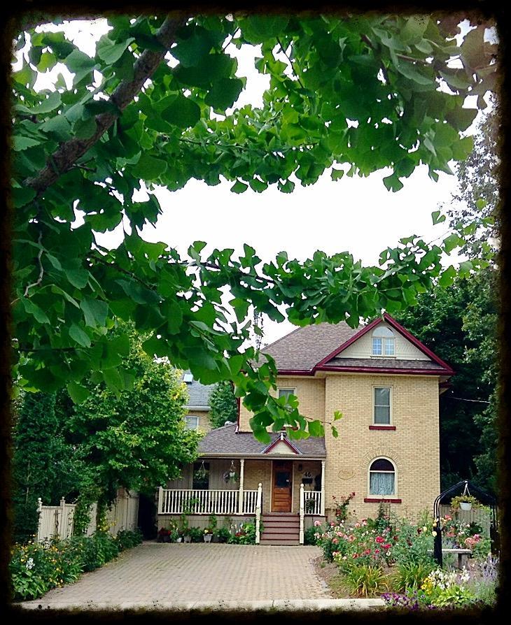 Tranquil Days Guest House - A Truly Exceptional Bed And Breakfast Stratford Exteriér fotografie